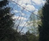 Продать Дачи, коттеджи, загородные дома д. Большие Крупели, улица Центральная, 15   