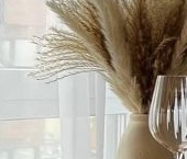 Сдать в аренду Квартиры вторичка улица Добролюбова, 8к2   