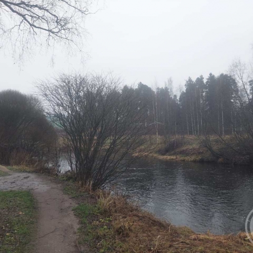 Земельный участок Вырица пос., Румянцева ул.