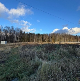 Продажа земли Шишкино, 46Н-01536 Продажа земли Шишкино, 46Н-01536