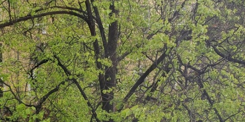 3-комн квартира ул Подмосковная,  д. 5