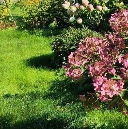 Продажа земли пос. Соколинское, улица Боровая Продажа земли пос. Соколинское, улица Боровая