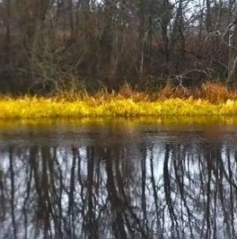 Продажа дома д. Вишняков Посад, 17