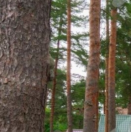 Продажа дома Всеволожск, улица Коммуны, 131