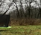 Продать Земельные участки, земля Виль-Парк кп, д. Вильповицы  28 