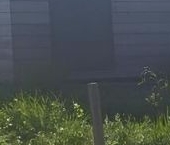 Продать Земельные участки, земля Холмогорье кп, Ойнелово массив   