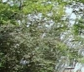 Продать Квартиры вторичка Пулковская улица, 21/7   