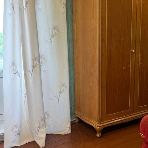 1-комн квартира Петергоф, улица Дашкевича, 11а/9