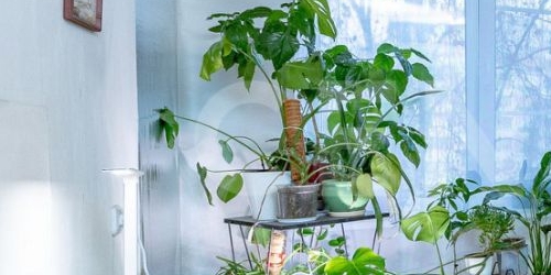 1-комн квартира улица Турку, 24К1