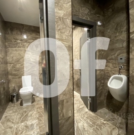 Аренда отдельного здания Ружейный переулок,  д. 6