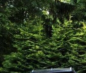 Продать Дачи, коттеджи, загородные дома д. Иваново, улица Придорожная, 38В   