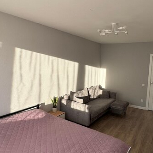 1-комн квартира Пискаревский пр-кт,  д. 27,  к. 2