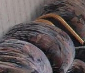 Продать Квартиры вторичка Осенний бульвар, 12К3   