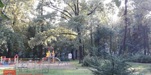 3-комн квартира Орбели ул. ,  д. 11