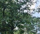 Продать Квартиры вторичка пос. Санаторий Озеры  1 