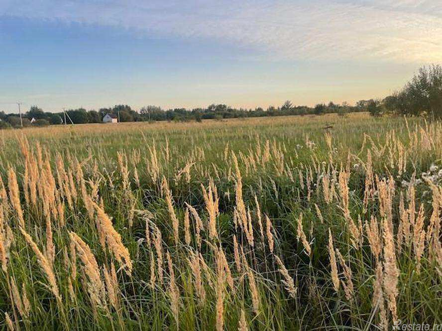 Продажа земли деревня Аргуново