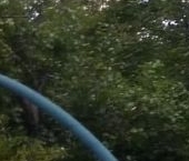 Продать Дачи, коттеджи, загородные дома Васкелово садоводческий массив, ВНИИ Телевидение СНТ, улица Телевизионная   