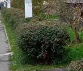 Продать Квартиры вторичка Новое Бисерово-2 мкр, с. Бисерово  9 