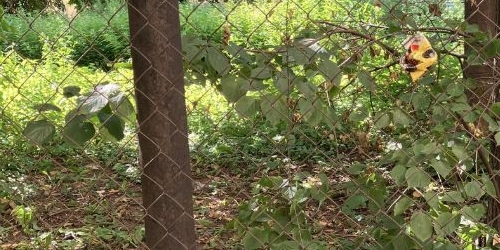 Студия Рижский проспект, 60Ж