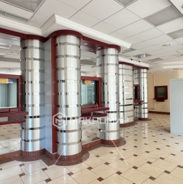 Аренда ПСН Владимирская 3-я ул,  д. 8 к1