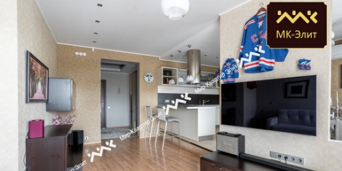 2-комн квартира Новочеркасский пр-кт,  д. 33