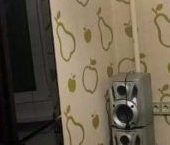 Сдать в аренду Квартиры вторичка Авангардная улица  27 