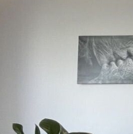 Аренда 3-комн квартиры на вторичном рынке Мичуринский проспект, 56