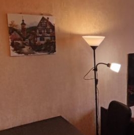 Аренда комнаты Ленинский проспект, 110К1 Аренда комнаты Ленинский проспект, 110К1