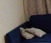 Продать Квартиры вторичка шоссе Суздальское, 30к2   