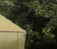 Продажа земельные участки пос. Петро-Славянка, Красноармейское СНТ, 50