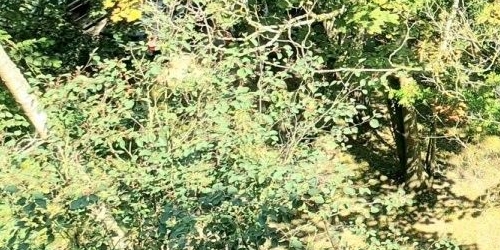 2-комн квартира Петергоф, Озерковая улица, 45