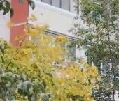 Продать Квартиры вторичка Новоясеневский проспект, 40К3   