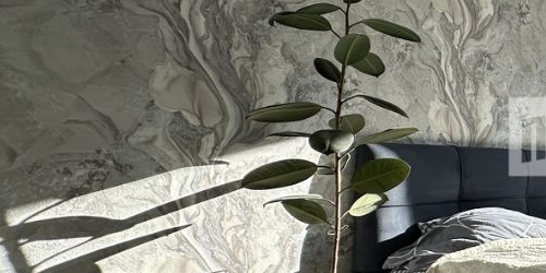 2-комн квартира Двинская улица, 8К3