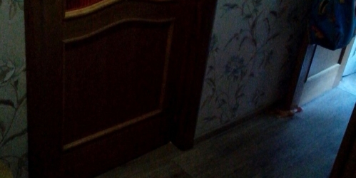 3-комн квартира Павловск г, Лебединая ул,  д. 20