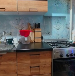 Продажа 2-комн квартиры на вторичном рынке Волосовский район, Гатчинское шоссе,  д. 4