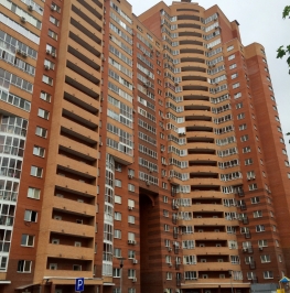 Продажа 1-комн квартиры на вторичном рынке Юбилейный проспект,  д. 66