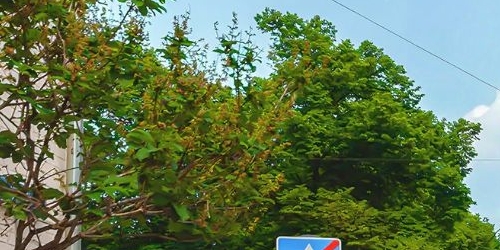4-комн квартира Большой Патриарший переулок, 8С1