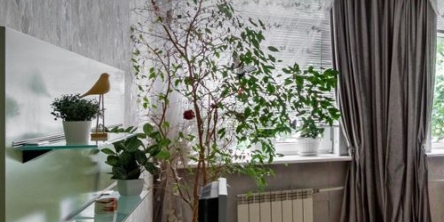 2-комн квартира набережная Канала Грибоедова, 22