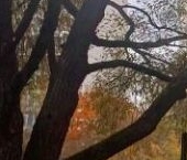 Продать Комнаты в квартирах Королев, проспект Космонавтов, 28   