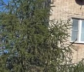 Продать Квартиры вторичка с. Ямкино, улица Центральная Усадьба, 10   