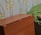 Сдать в аренду Квартиры вторичка Коммунар г., шоссе Ленинградское, 20А   