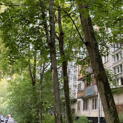 1-комн квартира улица Ленсовета, 56