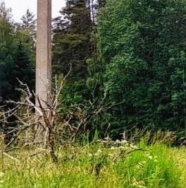 Продажа земли пос. Малышево, улица Центральная Продажа земли пос. Малышево, улица Центральная