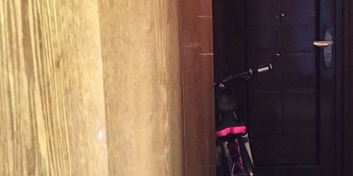 2-комн квартира проспект Испытателей, 20