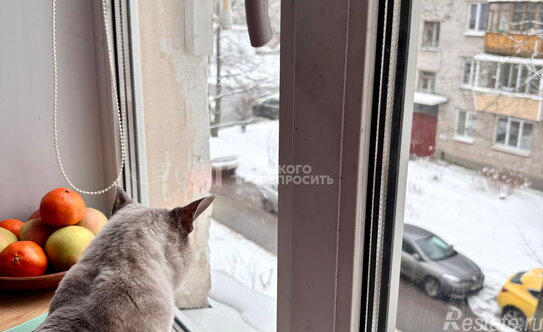 Продажа 2-комн квартиры на вторичном рынке Петергоф г, Озерковая ул,  д. 15