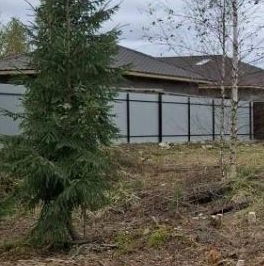 Продажа земли Сосновый Бор, Бастион СНТ, улица Копорская