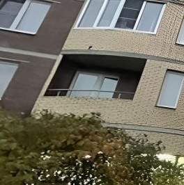 Продажа студии Богатырский проспект, 66к1