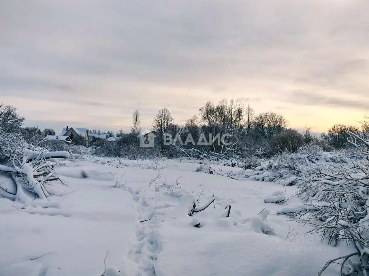 Продажа земли пос. Пушное, проезд Лесные Покосы