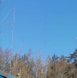 Продажа земли Проба массив, 138