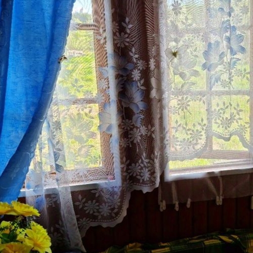 Коттедж/дом Вырица городской поселок